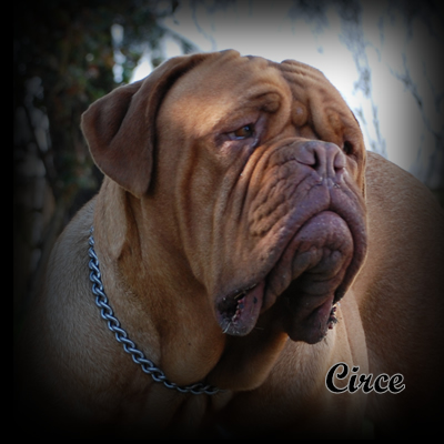 circe