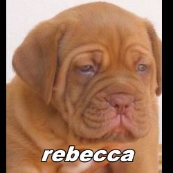 rebecca
