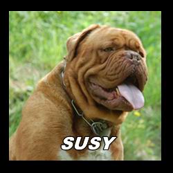 susy