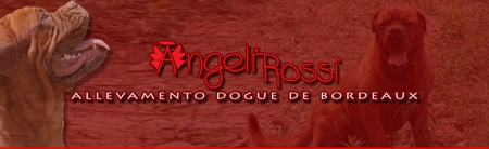 angelirossi