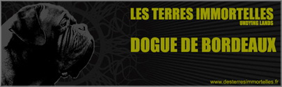 http://www.desterresimmortelles.fr