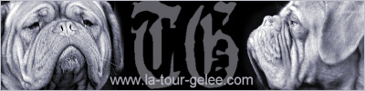 http://www.la-tour-gelee.com/
