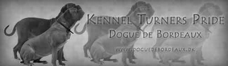 www.doguedebordeaux.dk