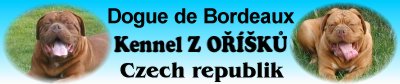 http://schreiber.dog.sweb.cz/