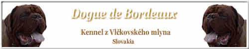 http://www.doguedebordeaux.sk