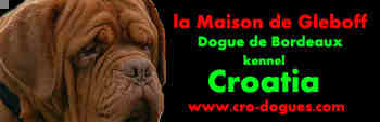 http://www.doguedebordeaux.com.hr/