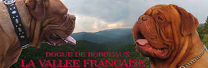 http://www.lavalleefrancaise.com/