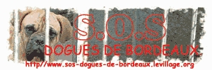 http://www.sos-dogues-de-bordeaux.levillage.org/index.htm