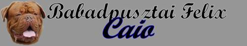 http://www.felixcaio.altervista.org/index.html
