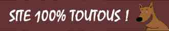 http://www.chien.ws