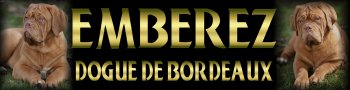 http://www.dogdebordeaux.co.uk/
