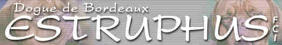 http://www.estruphus.dk