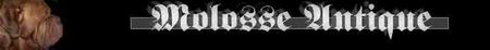 http://www.molosse-antique.com
