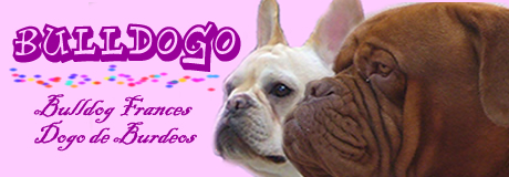 www.bulldogo.com.mx