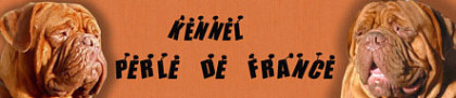 http://perledefrance.jimdo.com/