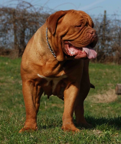 2 anni e mezzo