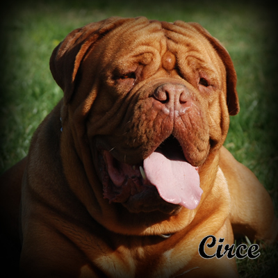 circe
